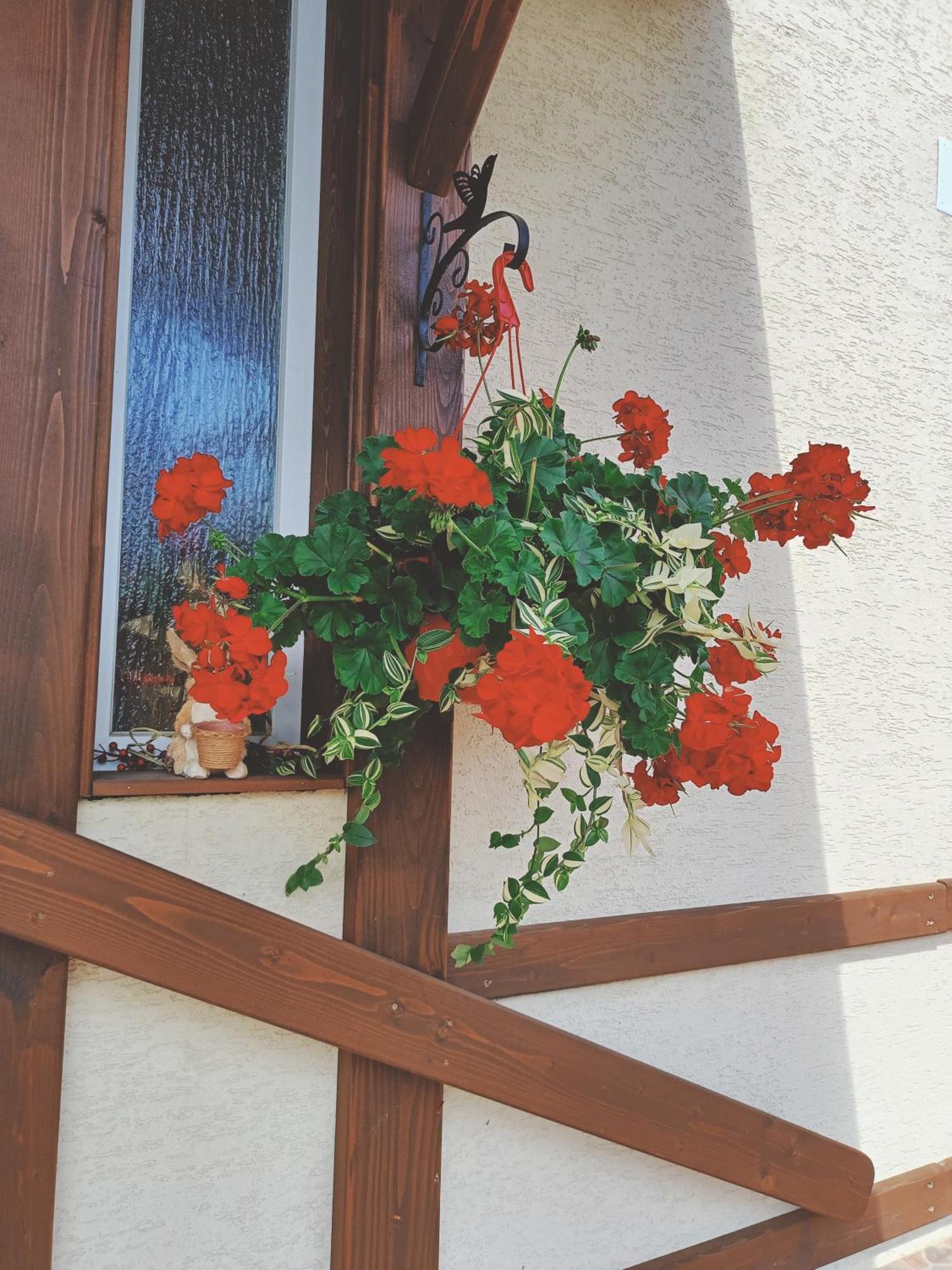 Residence Rooms Bucovina Câmpulung Moldovenesc エクステリア 写真