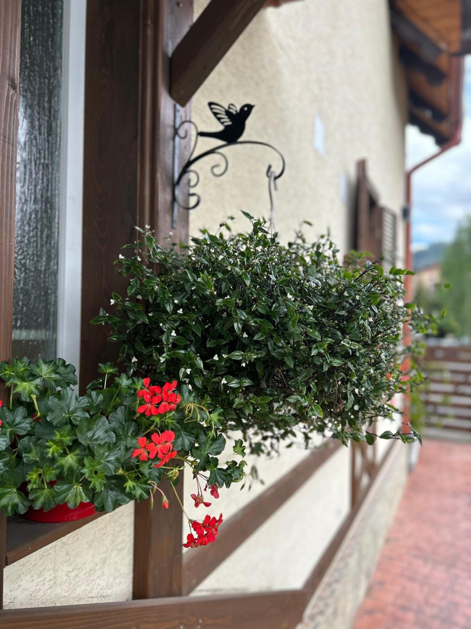 Residence Rooms Bucovina Câmpulung Moldovenesc エクステリア 写真