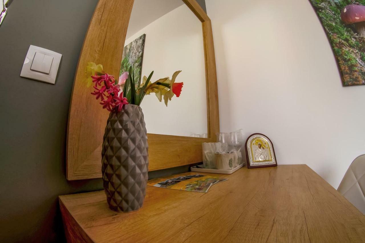 Residence Rooms Bucovina Câmpulung Moldovenesc エクステリア 写真